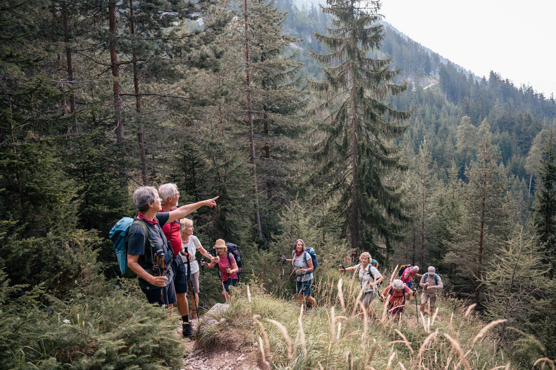 Aktiv in jedem Alter - DAV mach mit! | © DAV / Marisa Koch Seniorenwandergruppe in den Bergen | © DAV / Marisa Koch